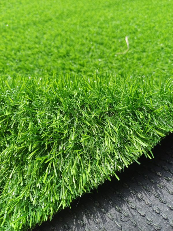 rumput-standart manfaat