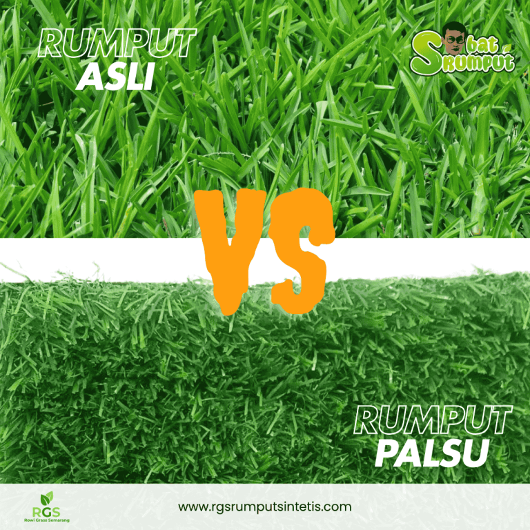 Kelebihan Rumput Sintetis di Bandingkan dengan Rumput Asli